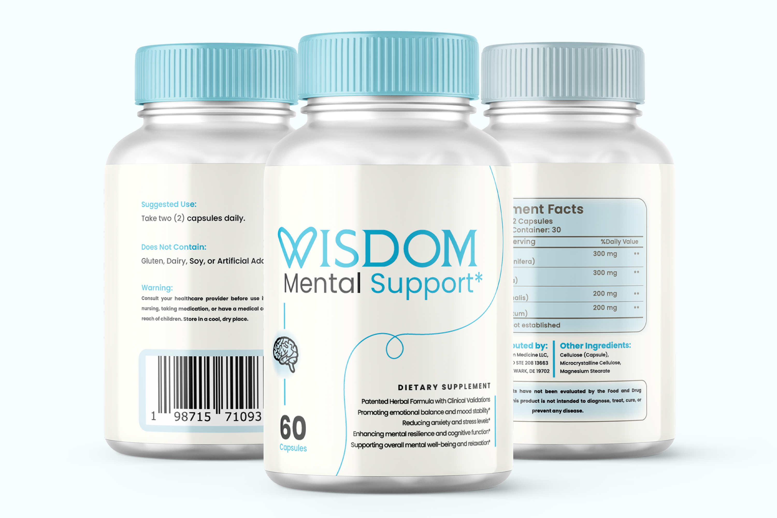 Wisdom Mental Support - Relief from Anxiety and Depression